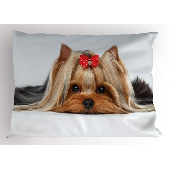 DZGlobal Personalized Yorkie Dog Throw Pillow Cases Yorkie Pillow Cover Dog Pillow Case 18x18 Soft Cotton Yorkshire Terrier Cushion Covers Decorative Pillowcase for Couch Sofa Bedroom Car DZGlobal Personalized Yorkie Dog Throw Pillow Cases Yorkie Pillow Cover Dog Pillow Case 18x18 Soft Cotton Yorkshire Terrier Cushion Covers Decorative Pillowcase for Couch Sofa Bedroom Car